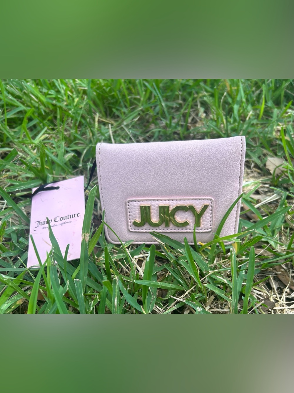 Juicy Couture Light Pink Wallet with Gold Logo Plaque